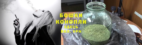 прущие грибы Каменск-Шахтинский