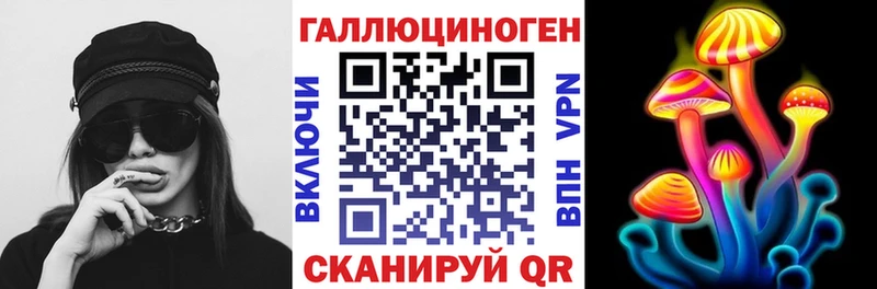 Купить где Дагестанские Огни Псилоцибиновые грибы Psilocybe